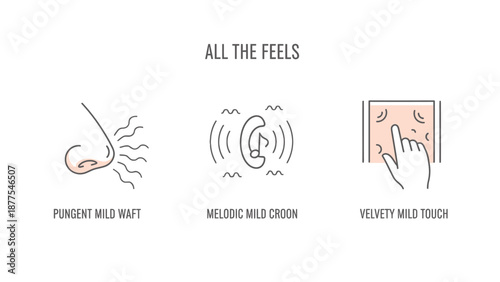 Emotional expressions and sensory experiences.
