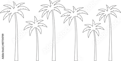 palm trees silhouette, palm tree silhouettes, palm trees silhouettes, palm, tree, 