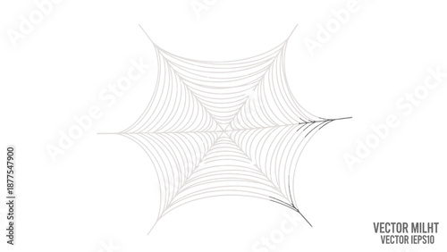a black and white illustration of a spider web.