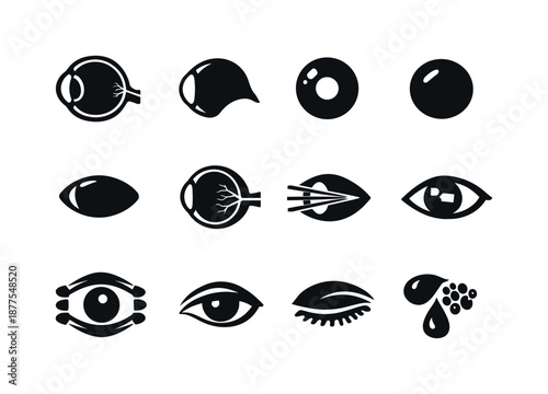 Eye Anatomy Icons. How eyes work. Solid icon set of How eyes work: eyeball cross section, cornea, iris, pupil, lens, retina, optic nerve, light rays entering