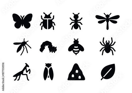 Jungle Insect Icons. Jungle insects. Solid icon set of jungle insects: butterfly, beetle, ant, dragonfly, mosquito, caterpillar, bee, spider, praying mantis,