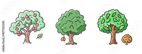 Variety of three trees: cherry with fruit, leafy green, and oak with acorns.