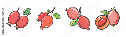 Rosehip fruits on branches, whole and sliced, vibrant red and pink colors