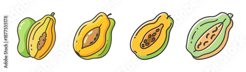 Hand drawn vector illustration of pawpaw fruit, whole and halved