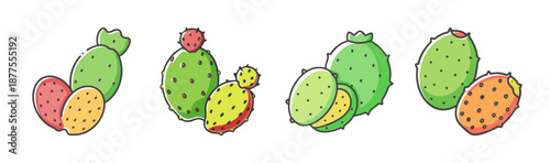 Prickly pear cactus fruits, whole and sliced, green and orange varieties