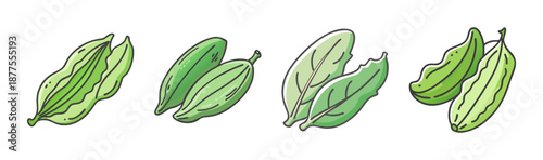 Hand drawn vector illustration of sorrel fruit, whole and halved