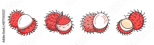 Four rambutan fruits, whole and sliced, isolated on white background.