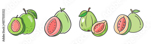 Hand-drawn guavas, whole and sliced, showing pink and green varieties.