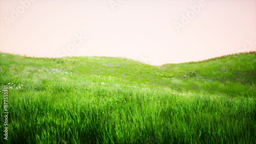 Fotografie A vivid meadow stretches across rolling hills as the sun rises, illuminating the dewy grass and colorful wildflowers