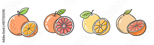 Collection of cartoon grapefruits and oranges, whole and sliced