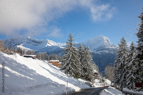 Winter landscape, Gryon, Switzerland