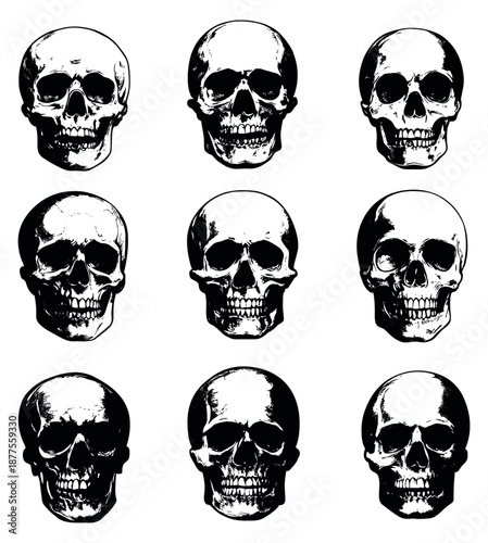 Hand drawn skull set featuring detailed human anatomy for halloween and gothic designs