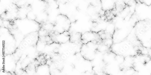 White and black Stone ceramic art wall interiors backdrop design. abstract light elegant black for do floor ceramic counter texture stone slab smooth tile gray silver natural for interior decoration.