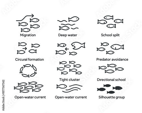 Ocean Behavior Icons. Open Ocean Behavior. Line icon set of Open Ocean Behavior: migration path, deep water swim, school split, school merge,