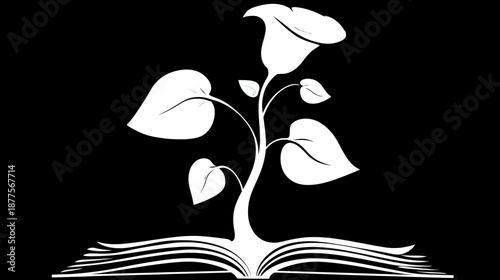 A white stylized calla lily growing from an open book against a solid black backdrop
