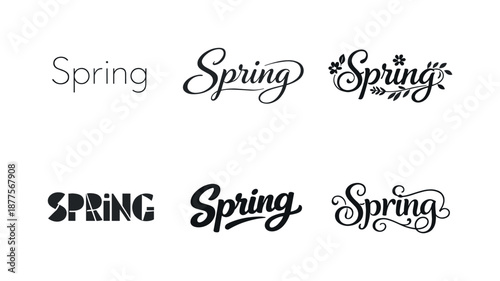 Spring Typography Variations. Light spring aesthetic typography. Set lettering. harmonious lettering variations of the same emblematic concept, each with