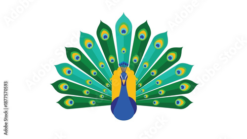 Majestic peacock displaying vibrant colorful feathers with intricate details in a beautiful graphic illustration style with eye-catching visual appeal