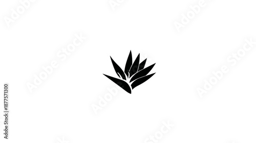 A minimalist depiction of a plant with spiky leaves in black against a clean white backdrop