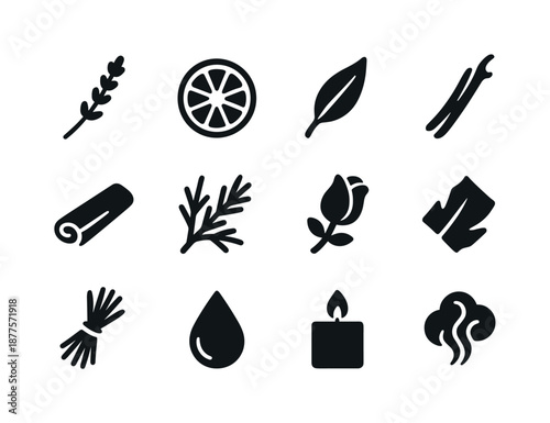 Eco Scents Icon Set. Eco-friendly candle scents. Solid icon set of eco-friendly candle scents: lavender sprig, citrus slice, eucalyptus leaf, vanilla pod,