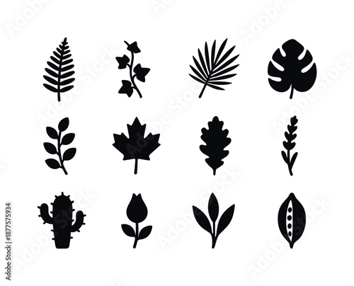 Botanical Icon Set. Botanical plants. Solid icon set of botanical plants: fern leaf, ivy vine, palm frond, monstera leaf, eucalyptus sprig, maple leaf, oak