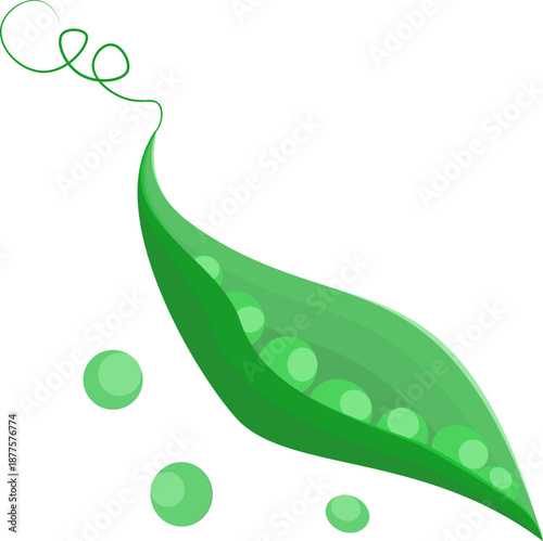 Minimalist flat vector illustration of a green pea pod and scattered peas, perfect for healthy food branding, organic market icons, and garden digital assets.
