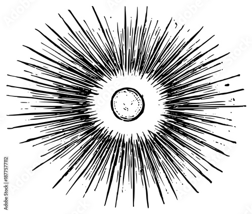 Vintage Moon Face Illustrations in Engraved Celestial Style