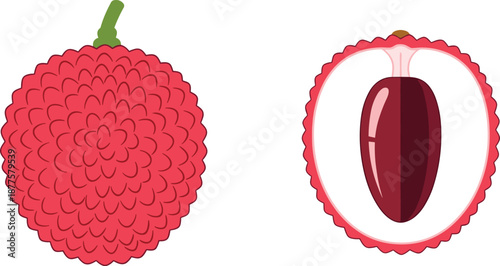 Lychee fruit whole and cut, red skin, white flesh, brown seed, flat vector illustration, tropical food anatomy design