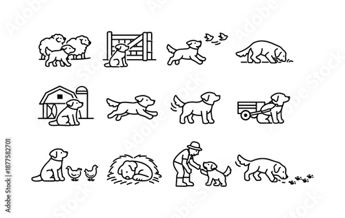 Farm Dog Icons. Farm dog. Line icon set of farm dog activities: herding sheep, guarding gate, chasing birds, sniffing ground, sitting by barn, running in