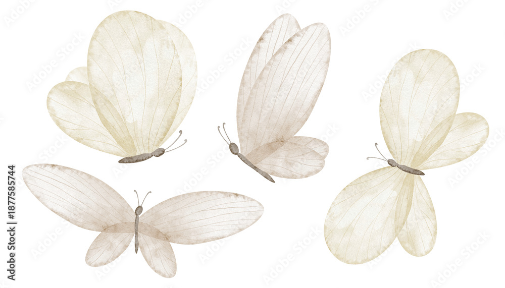 custom made wallpaper toronto digitalButterfly Watercolor clipart set in soft neutral beige pastel colors. Illustrations of Insects with delicate wings for baby shower invitations, childish greeting cards of nursery design and posters.