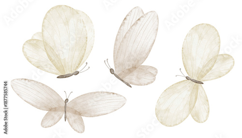 Wallpaper Mural Butterfly Watercolor clipart set in soft neutral beige pastel colors. Illustrations of Insects with delicate wings for baby shower invitations, childish greeting cards of nursery design and posters. Torontodigital.ca