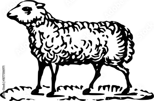 Vintage Farmyard Animal Illustrations in Engraved Rustic Style