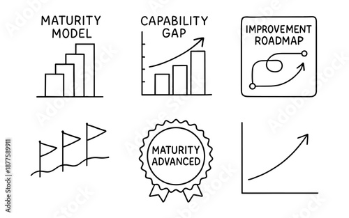Business progress chart set: maturity model, capability gap, and improvement roadmap