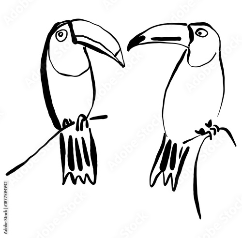 two birds on the branch