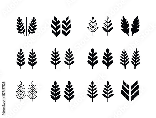 Fern Logo Variations. Fern. Icon set. Set Logo of fern: split fern leaflet pair. harmonious logo variations of the same emblematic concept, each with different