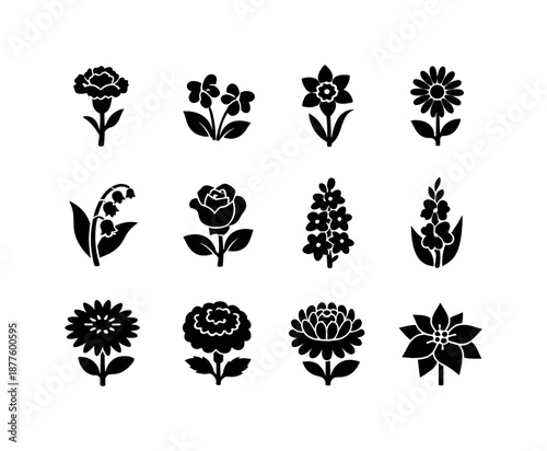 Birth Flower Icons. Birth flowers. Solid icon set of Birth flowers: carnation, violet, daffodil, daisy, lily of the valley, rose, larkspur, gladiolus, aster,