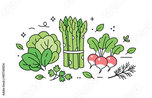 Spring Produce Illustration. Spring produce illustration. Fresh greens, asparagus, radishes, and herbs displayed simply with small leaf accents. Sense of