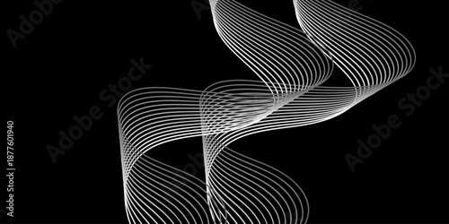 Abstract black and white background featuring a vector pattern of elegant wave lines and curved fractal textures for a modern wallpaper design illustration