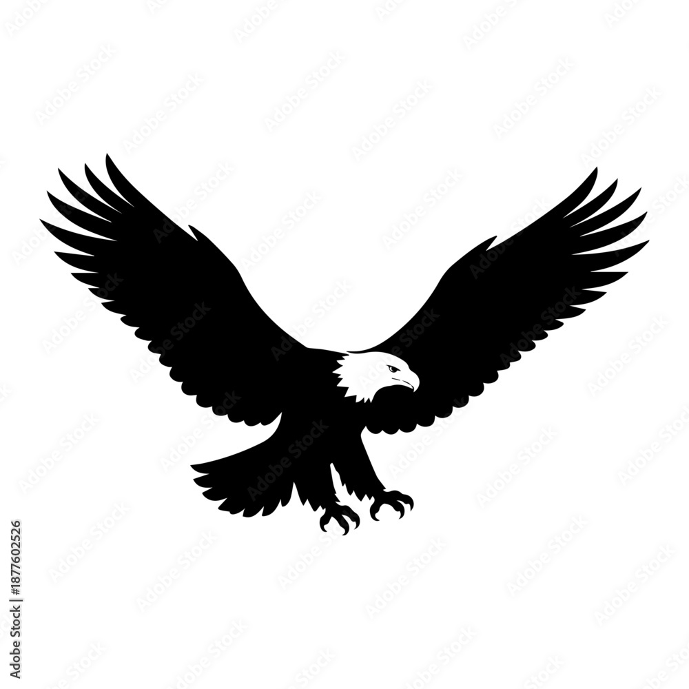 Obraz premium Bald Eagle