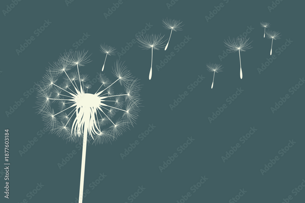 Obraz premium Vector illustration of dandelion time. Beautiful realistic Dandelion seeds blowing in the wind. The wind inflates a dandelion isolated in an editable evening background.