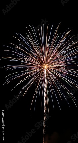 Wallpaper Mural Fireworks Display - A Burst of Light Against the Night Sky. Torontodigital.ca