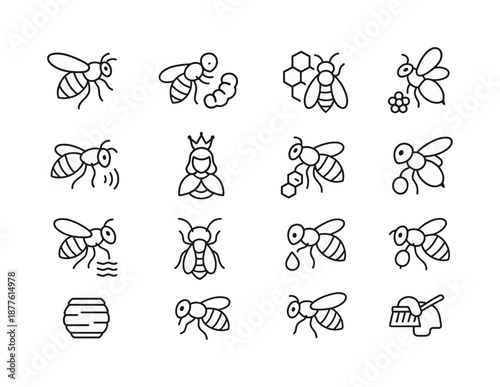 Bee Roles Icon Set. How bees make honey. Line icon set of bee roles: worker bee, nurse bee, guard bee, forager bee, scout bee, queen bee outline, drone bee,