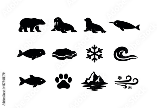 Arctic Marine Mammal Icons. Arctic marine mammals. Solid icon set of arctic marine mammals: polar bear silhouette, walrus silhouette, seal silhouette, narwhal