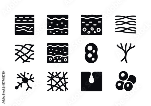Skin Layers Diagram. Skin layers structure. Solid icon set of skin layers structure: epidermis slice, dermis slice, hypodermis slice, collagen fibers, elastin