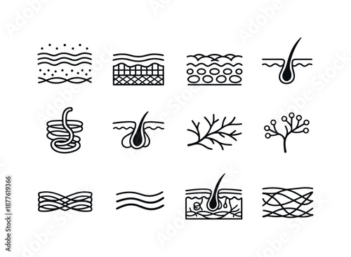 Skin Anatomy Icons. Skin structure. Line icon set of Skin structure: epidermis layer, dermis layer, hypodermis layer, hair follicle, sweat gland