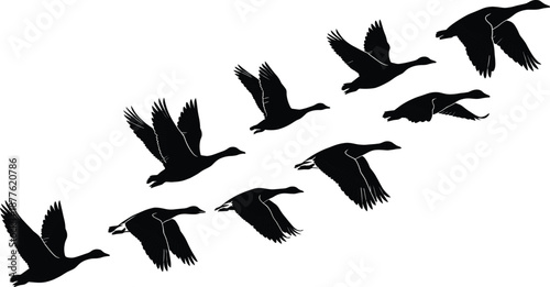 Flying goose silhouette flock in formation isolated black waterfowl wildlife vector illustration set symbolizing migration freedom nature sky movement journey
