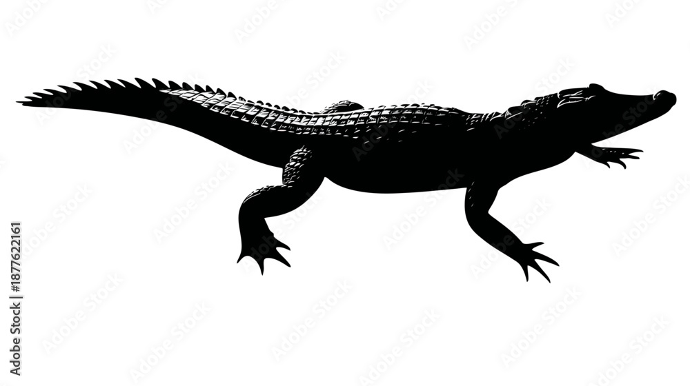 Obraz premium Silhouetted illustration of an alligator, showing details of scales, claws, and spiny tail