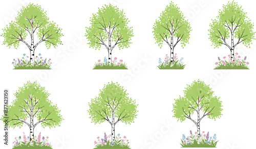 Beautiful birch trees with green leaves and spring flowers vector illustration set, decorative floral landscape nature design illustration cartoon