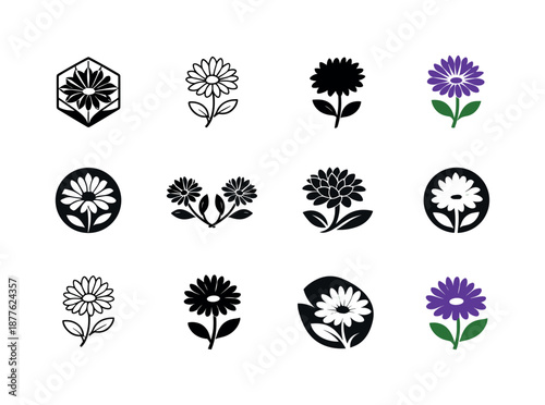 Aster Birth Flower Icons. birth flowers. Icon set. Set Logo of birth flowers: aster (September). harmonious logo variations of the same emblematic concept,