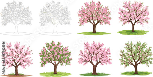 Beautiful cherry blossom tree vector illustration set with pink flowers, spring season design, botanical elements, and decorative floral artwork