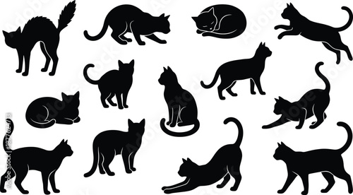 Cat silhouette set showing multiple playful walking sitting sleeping jumping feline poses isolated black pet vector illustration collection